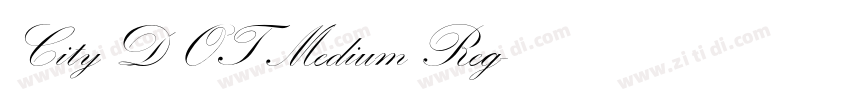 City D OT Medium Reg字体转换